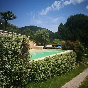 Rosy25 San Michele (Vicenza)